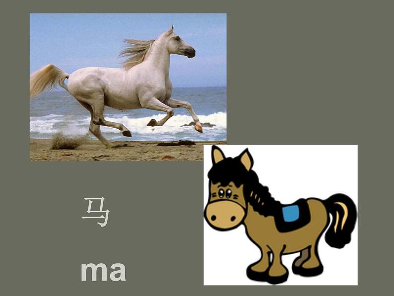 桂美版美术三年级上册 第18课 十二生肖 课件 教案08