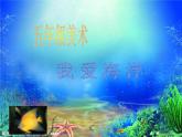 桂美版美术四年级上册 2 我爱海洋 课件 (3)