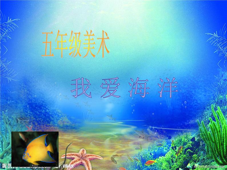 桂美版美术四年级上册 2 我爱海洋 课件 (3)01
