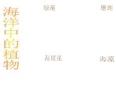 桂美版美术四年级上册 2 我爱海洋 课件 (3)
