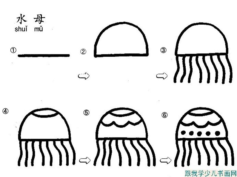 桂美版美术四年级上册 2 我爱海洋 课件 (3)07