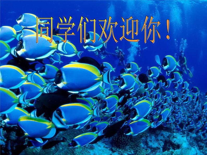 3 彩墨画鱼 课件第1页