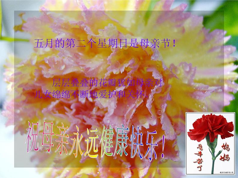 桂美版美术五年级上册 6 有趣的纸艺制作 课件 教案 (2)02