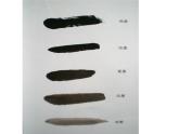 桂美版美术五年级上册 15.写意动物 课件（13张幻灯片）