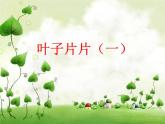 蘇少版一年級下冊美術(shù) 13.葉子片片 課件（17張PPT）