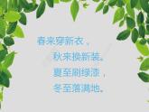 蘇少版  二年級(jí)美術(shù)下冊課件-13 會(huì)變的花、樹、葉- （20張PPT）