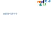 蘇少版  二年級(jí)美術(shù)下冊課件-13 會(huì)變的花、樹、葉- （20張PPT）