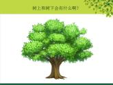 蘇少版二年級(jí)下冊(cè)美術(shù) 9.樹(shù)上樹(shù)下（一） 課件（13張PPT）