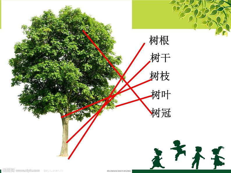 苏少版二年级下册美术 9.树上树下（一） 课件( 20张PPT)04