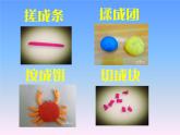 動物朋友（二）PPT課件免費(fèi)下載