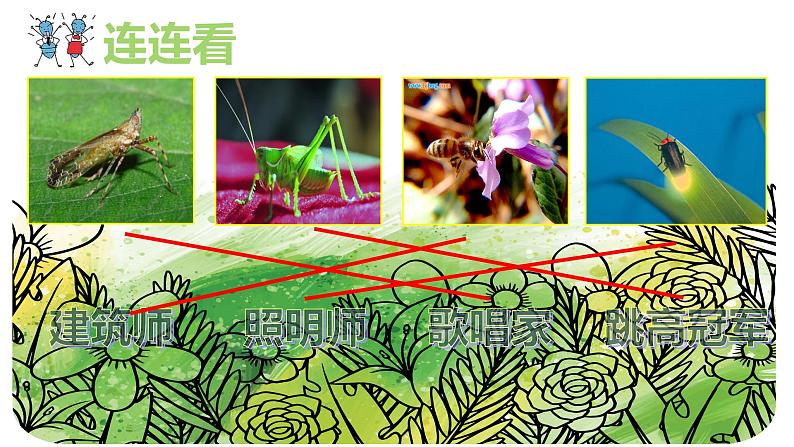 苏少版 二年级美术下册课件14虫虫虫（一）（19张PPT）第4页