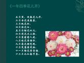 蘇少版二年級(jí)下冊美術(shù) 13.會(huì)變的花、樹、葉 課件（12張PPT）