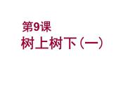 樹(shù)上樹(shù)下（一）PPT課件免費(fèi)下載