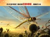 蟲蟲蟲（一）PPT課件免費(fèi)下載
