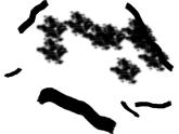 二年級(jí)美術(shù)下冊(cè)課件-11 水墨畫(huà)樹(shù) 蘇少版 15張PPT
