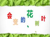 二年級(jí)美術(shù)下冊課件-13 會(huì)變的花、樹、葉 蘇少版 （14張PPT）
