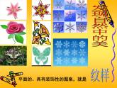 蘇少版美術(shù)四年級上冊 18適合紋樣 課件（14張幻燈片）