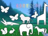 小学一年级下册美术课件-第11课动物的花衣裳岭南版(23张)(3)ppt课件