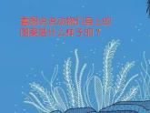 小学一年级下册美术课件-第11课动物的花衣裳-岭南版(22张)(1)ppt课件