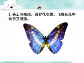 小学一年级下册美术课件-第11课动物的花衣裳岭南版(20张)(3)ppt课件