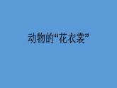 小学一年级下册美术课件-第11课动物的花衣裳-岭南版(12张)(2)ppt课件