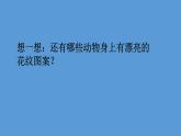 小学一年级下册美术课件-第11课动物的花衣裳-岭南版(12张)(2)ppt课件