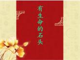 蘇少版六下 第15課  有生命的石頭 課件（37張PPT)