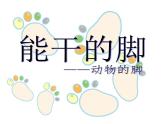 蘇少版六下 第3課 能干的腳 課件（28張） (1)