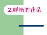 赣美版一下2.鲜艳的花朵 课件（32张PPT）