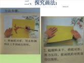赣美版二年级上册 4.水中倒影 课件（17张幻灯片）