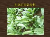 小扎染PPT课件免费下载