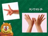 赣美版二年级上册 3.我的手印画 课件（14张幻灯片）
