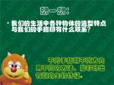 赣美版二年级上册 3.我的手印画 课件（14张幻灯片）