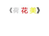 赣美版  5荷花美 课件（16张PPT）