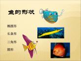 美丽的鱼PPT课件免费下载