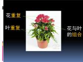 彩墨瓶花PPT课件免费下载