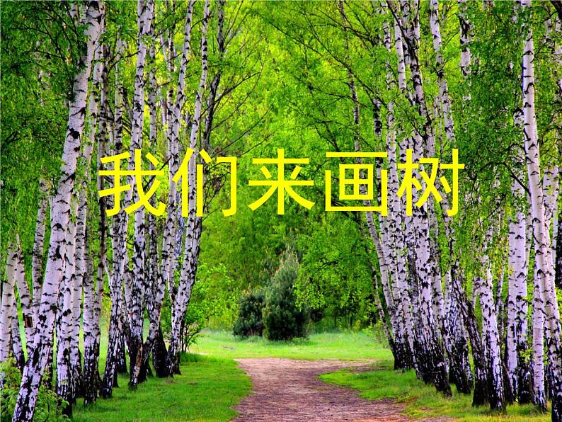 四年级上册美术课件第3课 我们来画树 沪教版（67张PPT）01