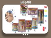 写生小瓶罐PPT课件免费下载