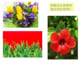 强烈的色彩PPT课件免费下载
