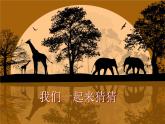 “剪影”小动物PPT课件免费下载