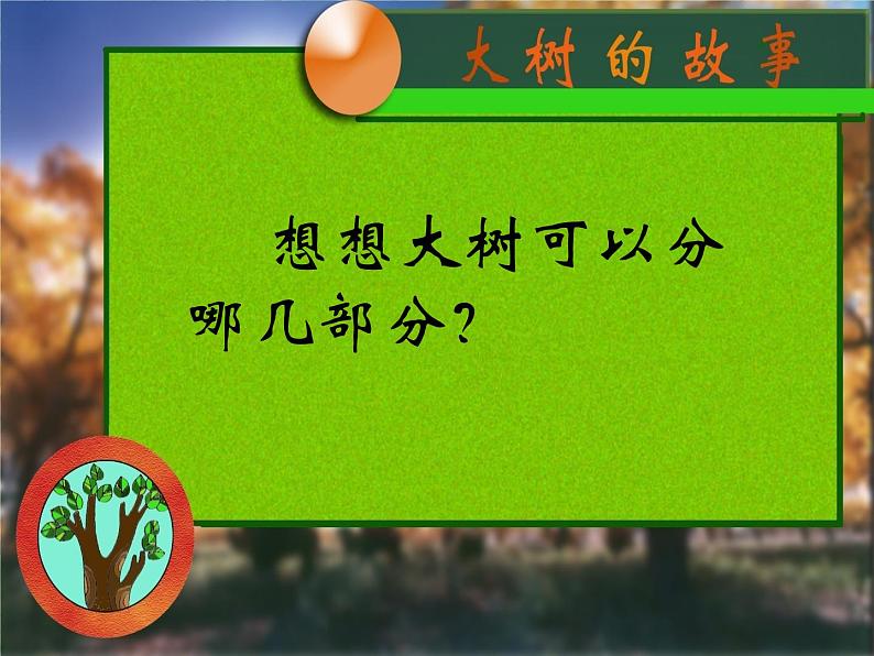 19大树的故事 课件  第6页