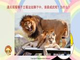 冀美版美術(shù)一年級(jí)下冊(cè) 13.威武的獅子 課件（13張PPT）