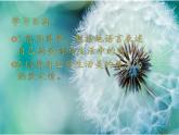 冀美版美術(shù)二年級(jí)下冊(cè) 10.小小“品評(píng)家”課件）