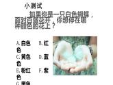 用色彩画心情PPT课件免费下载