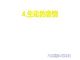 4--四美下  生動(dòng)的表情課件PPT