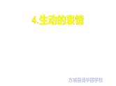 4--四美下  生动的表情课件PPT