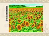 5--五美下  景物的近大遠(yuǎn)小課件PPT