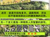 冀美版美術(shù)三年級下冊 8 設(shè)計迷宮 課件（14張幻燈片）
