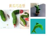 冀美版美術(shù)三年級(jí)下冊(cè) 7.蔬果巧造型 課件（14張）