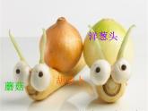 冀美版美術(shù)三年級(jí)下冊(cè) 7.蔬果巧造型 課件（14張）
